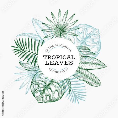 Tropical plants banner design. Hand drawn tropical summer exotic leaves illustration. Jungle leaves, palm leaves engraved style. Vintage background design