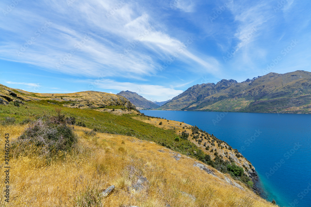 hiking jacks point track with view of lake wakatipu, queenstown, new zealand 54