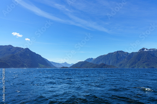 boat trip in the fjord, doubtful sound, fjordland, new zealand 1