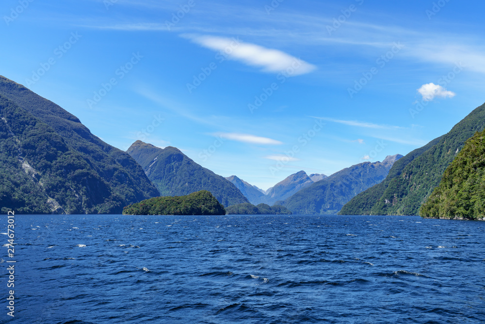 boat trip in the fjord, doubtful sound, fjordland, new zealand 7