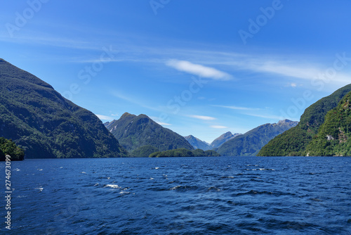 boat trip in the fjord, doubtful sound, fjordland, new zealand 10 © Christian B.