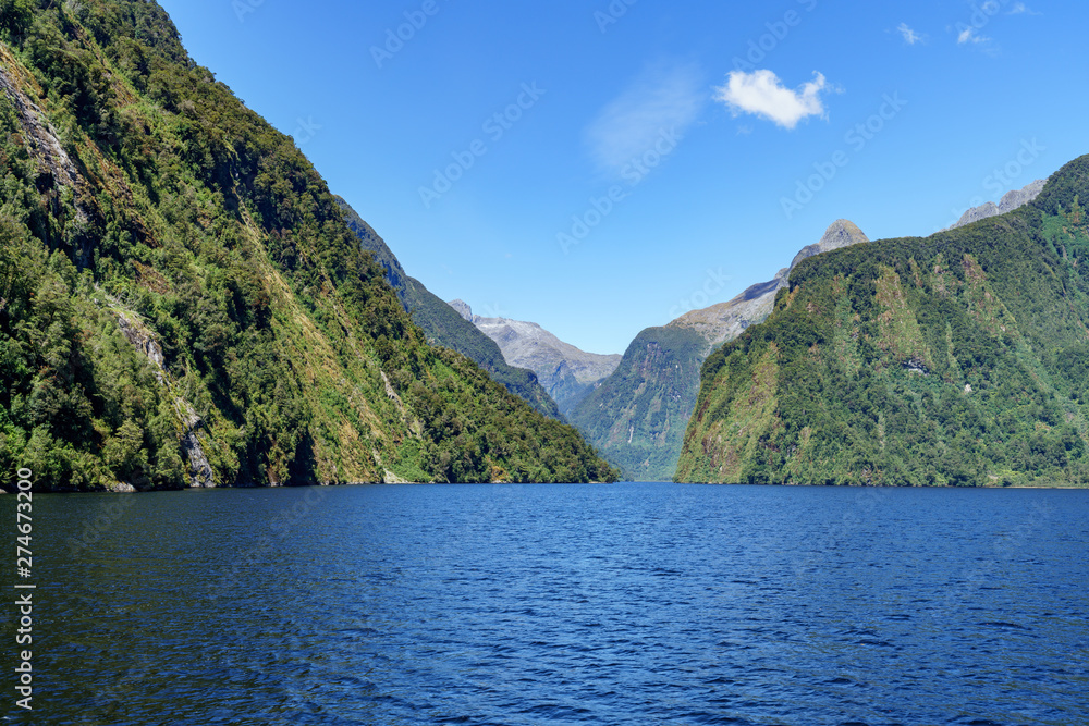 boat trip in the fjord, doubtful sound, fjordland, new zealand 13