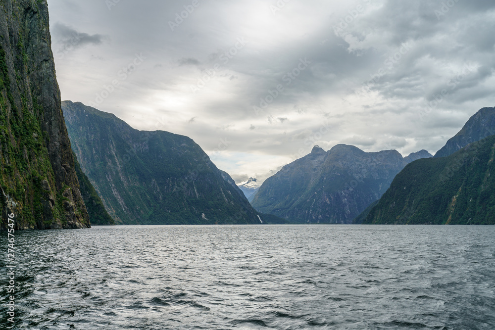 steep coast in the mountains at milford sound, fjordland, new zealand 64