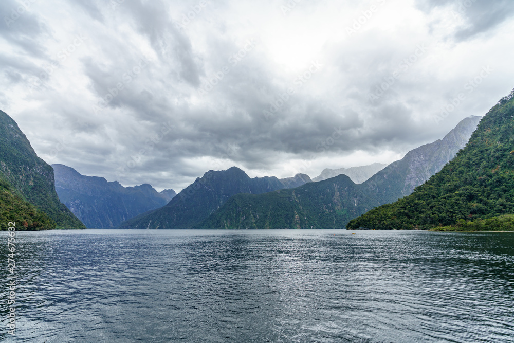 steep coast in the mountains at milford sound, fjordland, new zealand 73
