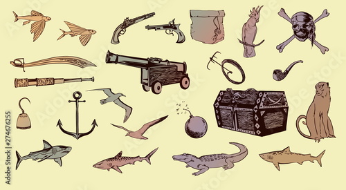 Pirate hand drawn sketch set illustration of buccaneer accessories. Vector filibuster drawing elements isolated