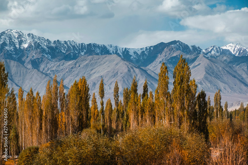 Autumn landscape in Leh Ladakh Region, India