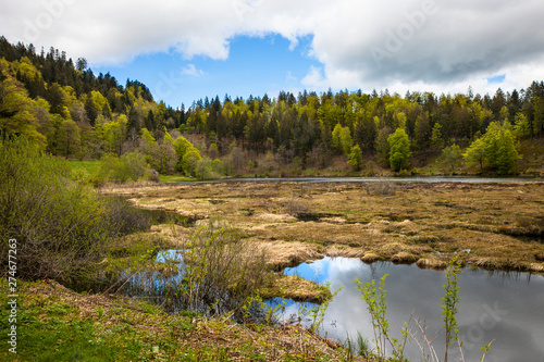 Nonnenmattweiher_8381 photo