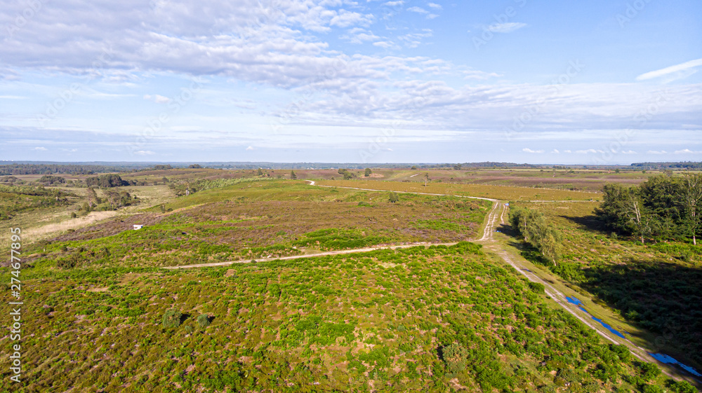 Aerial view of the New Forest National Park with heathland, forest and trail path under a majestic blue sky and some white clouds Aerial view of the New Forest National Park with heathland, forest and trail path under a majestic blue sky and some white clouds