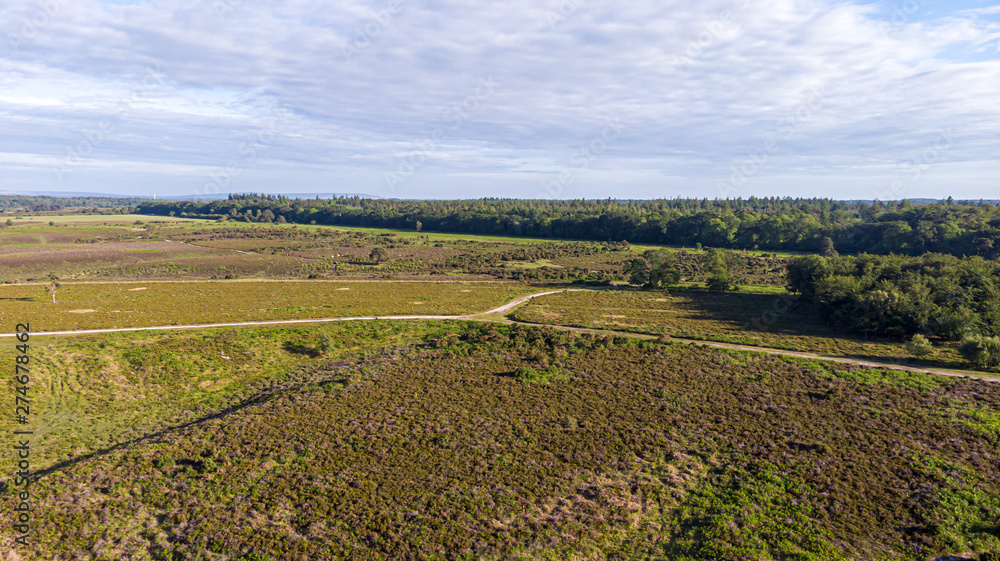 Aerial view of the New Forest National Park with heathland, forest and trail path under a majestic blue sky and some white clouds