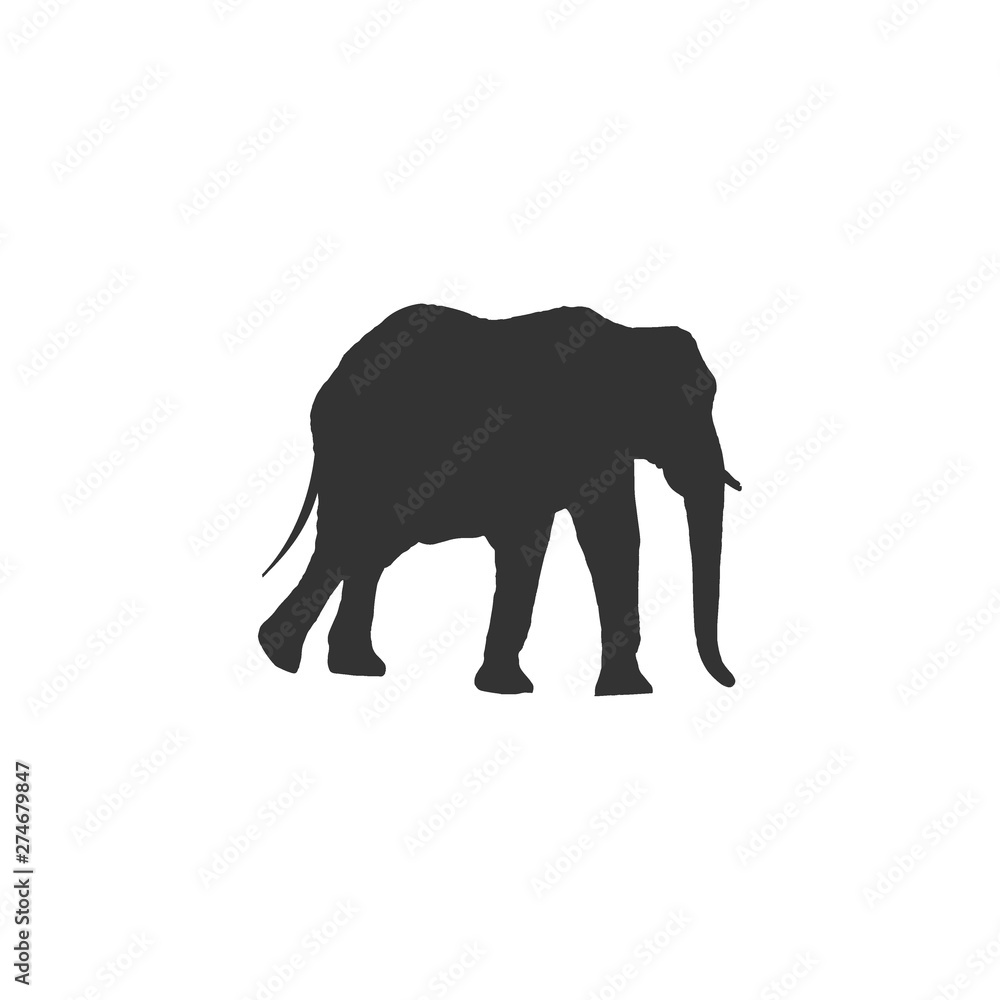 Fototapeta premium Big Elephant isolated on white background. Vector illustration, animal silhouette.