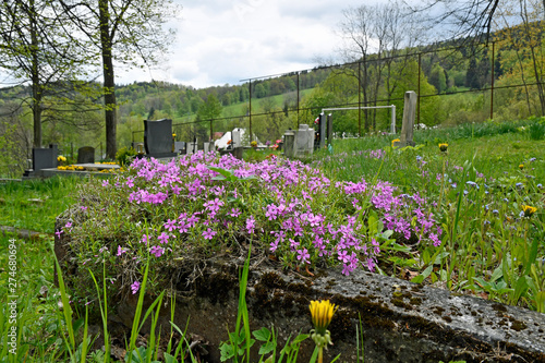 friedhof in niedergrund, tschechien photo