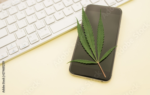 Wallpaper Mural Conceptual order online. The concept of medicine. keyboard, hemp. treatment of patients. marijuana leaf Torontodigital.ca