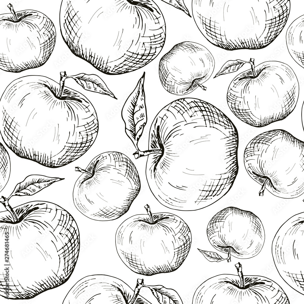 Apple background. Seamless pattern of handdrawn black apples on white background. Sketch style