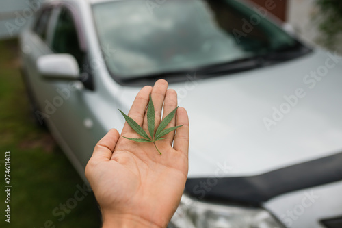 Green leaf of cannabis, marijuana for cigarettes. keep in hand on the background of the machine. The concept of transportation, dealership, transportation of drugs, hemp and leaves.