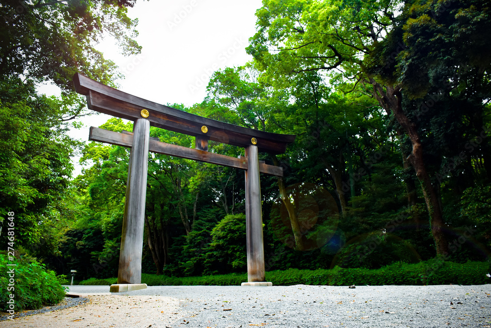 Meiji-Jingu Temple gate around with trees and flare light Meiji-Jingu Temple gate around with trees and flare light