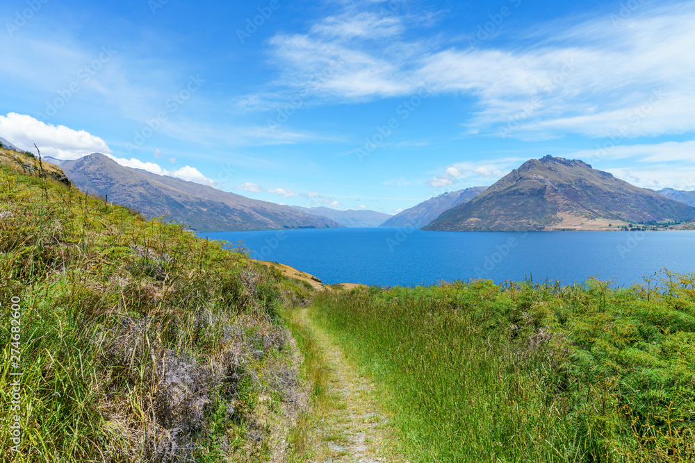 Fototapeta premium hiking jacks point track with view of lake wakatipu, queenstown, new zealand 30