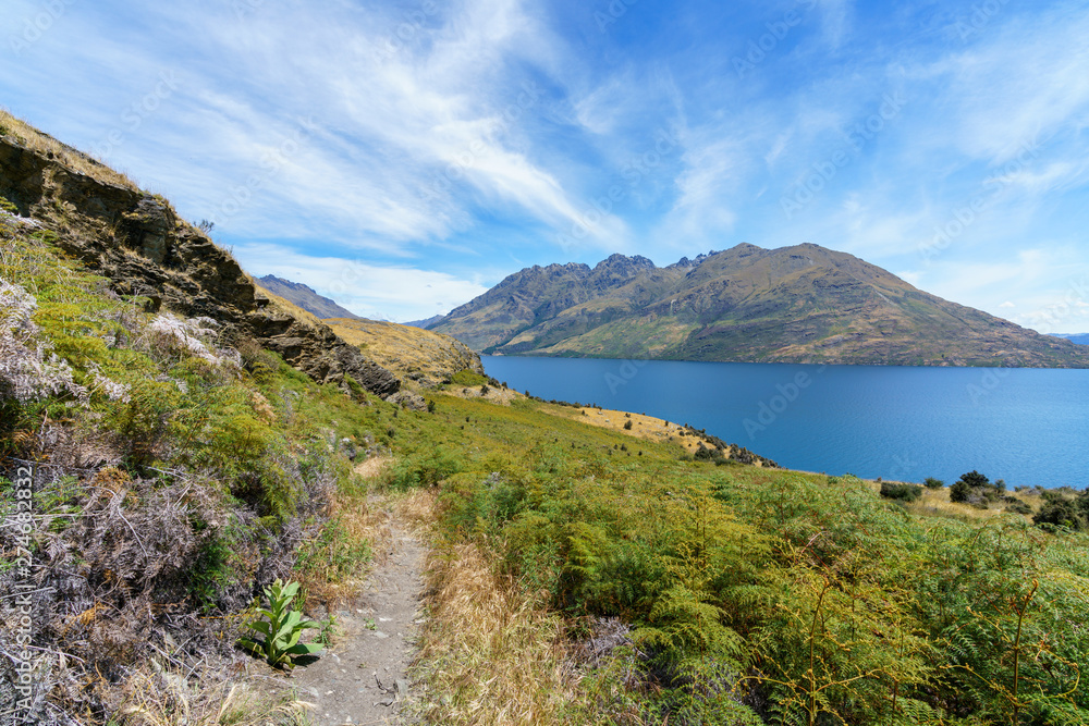 hiking jacks point track with view of lake wakatipu, queenstown, new zealand 48