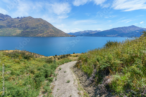hiking jacks point track with view of lake wakatipu, queenstown, new zealand 43