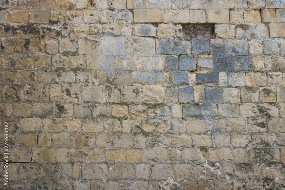 Obraz premium brick wall texture for background