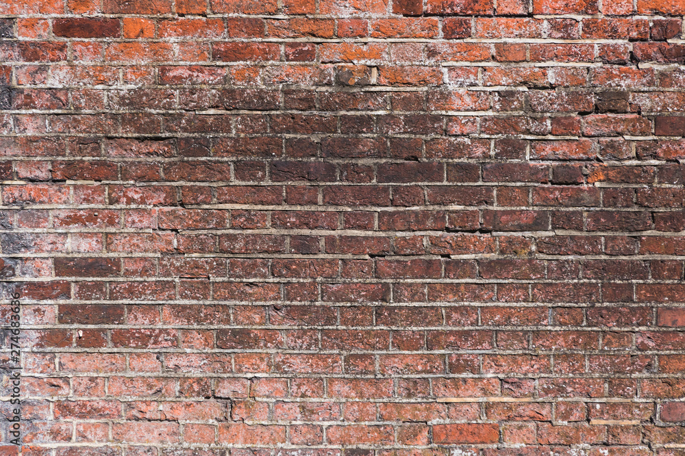 Naklejka premium brick wall texture for background