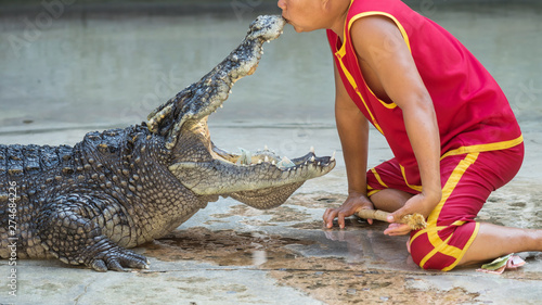 show kissing mouse of crocodile, Thailand