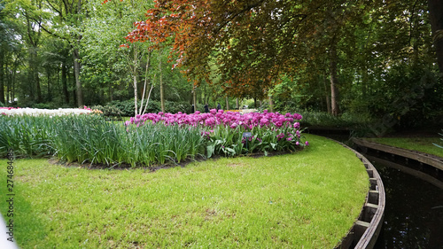 Fototapeta Naklejka Na Ścianę i Meble -  Stunning spring landscape, famous Keukenhof garden with colorful fresh tulips, Netherlands, Europe