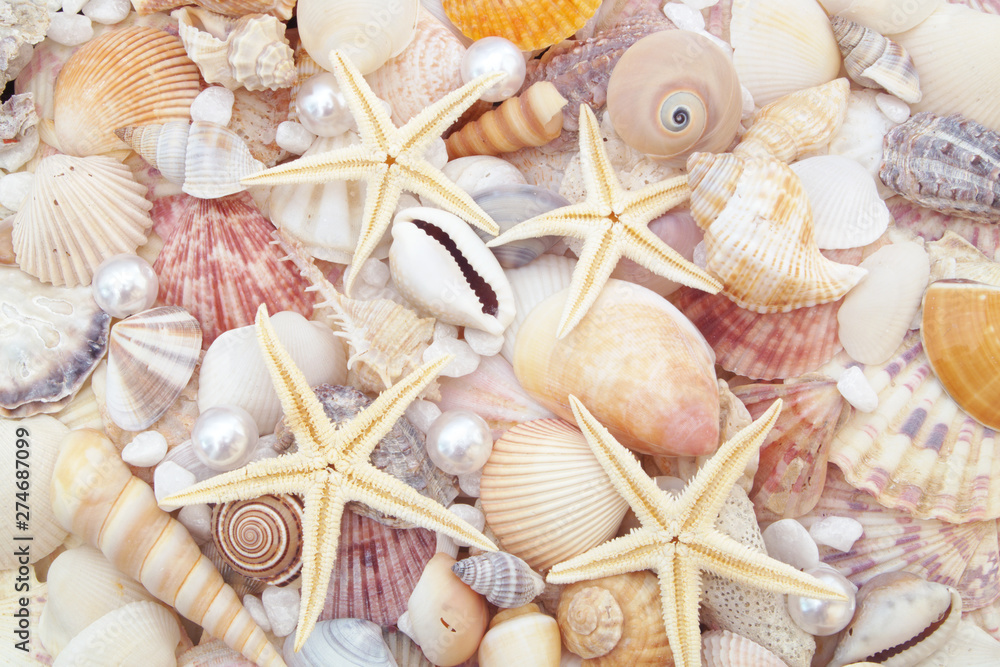 Starfishes, pearls, and amazing seashells with white stones Starfishes, pearls, and amazing seashells with white stones