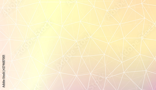 Polygonal pattern with triangles style. For your home interior wallpaper, fashion print. Vector illustration. Blurred Background, Smooth Gradient Texture Color.