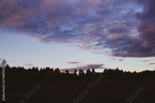 Pink sunset on the background of the silhouette of the forest. Lilac clouds in the sky at dusk. Beautiful scenery.