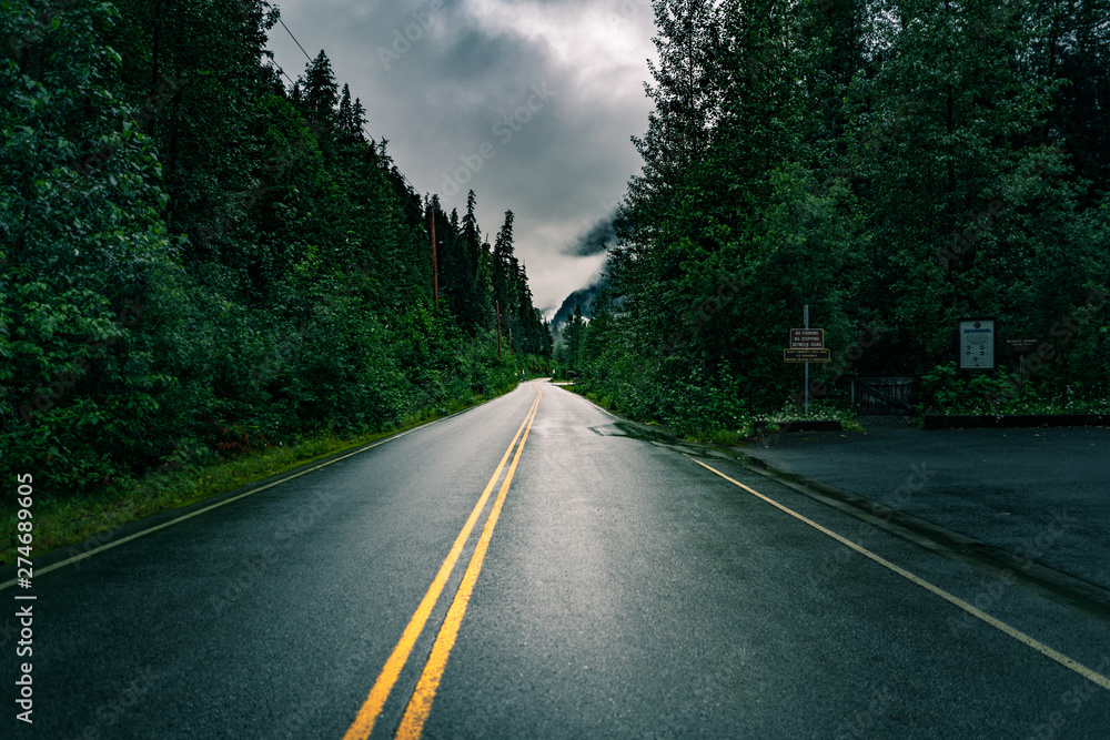 Naklejka premium Endlose Lange und Nasse Straße in Natur am Abend mit bewölktem Himmel