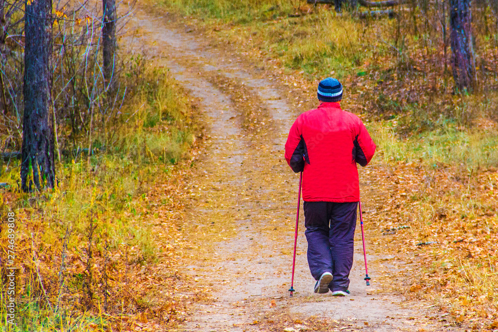 A man in a sport warm red jacket walks along a path among trees in a forest in autumn A man in a sport warm red jacket walks along a path among trees in a forest in autumn