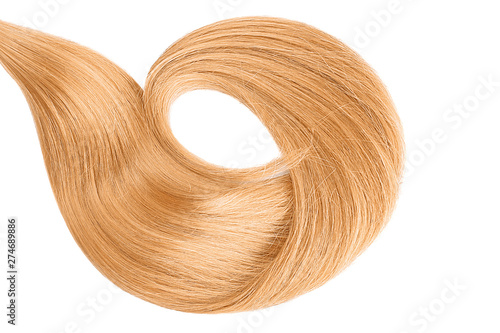 Blond hair isolated on white background. Long wavy ponytail