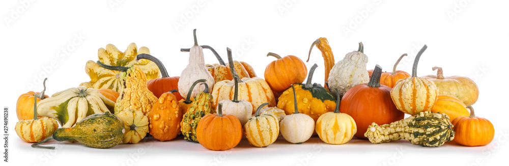 Assortiment of pumpkins on white - obrazy, fototapety, plakaty 