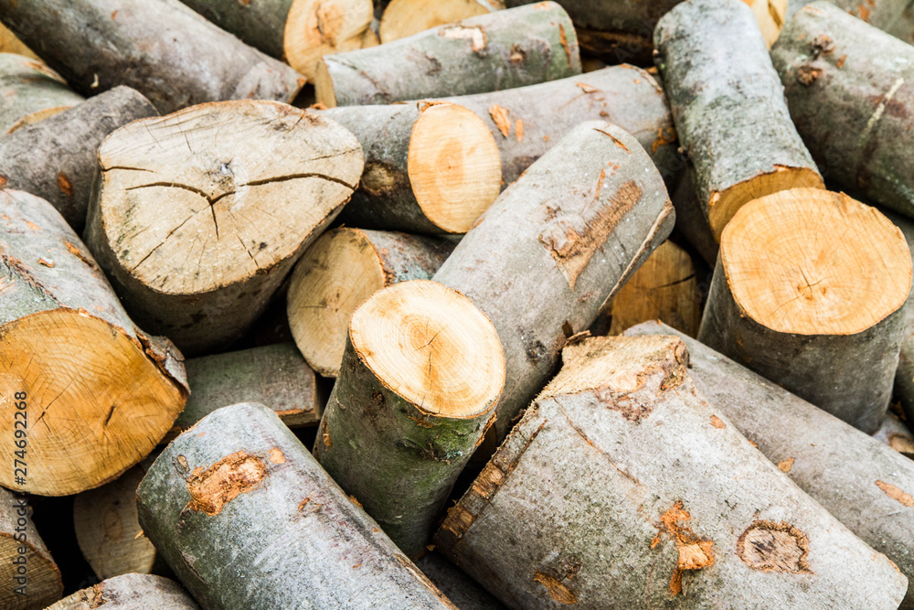Woodpile of beech tree trunks, waiting to be chopped for firewood
Woodpile of beech tree trunks, waiting to be chopped for firewood