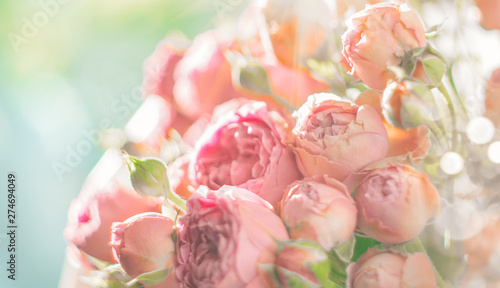 Roses. Bouquet of pink rose flowers in sun light. Holiday background