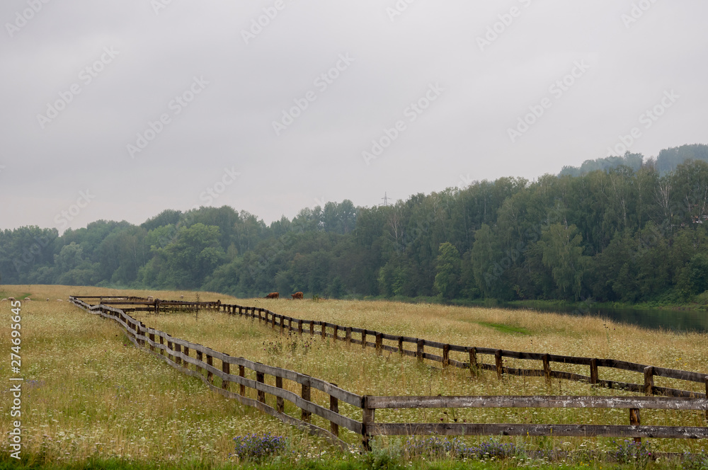 Heavy grey clouds in the cold autumn sky over  village. Old local farm and low fences in the mountains and fields. Travelling on the suburb roads. Cows and sheep are pasturing 