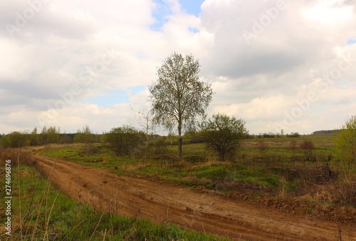 Gloomy spring rural landscape with not asphalted road in field at overcast day