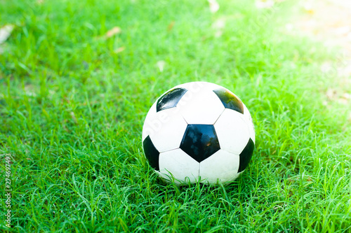 Football is placed on a green lawn texture Background or wallpaper. © suntorn