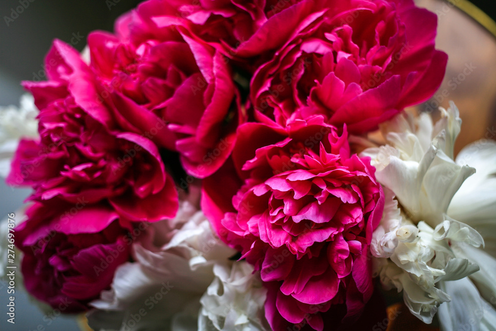 Fluffy pink magenta and white peonies flowers background Fluffy pink magenta and white peonies flowers background
