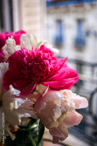 Gorgeous white and pink pions in a glass vase in front of the open Parisian window after the rain close up