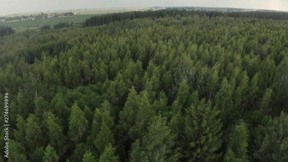 4K aerial of flying over a beautiful green forest in a rural landscape.a view of the forest from above.flying a drone over the forest.forest in a storm 4K aerial of flying over a beautiful green forest in a rural landscape.a view of the forest from above.flying a drone over the forest.forest in a storm
