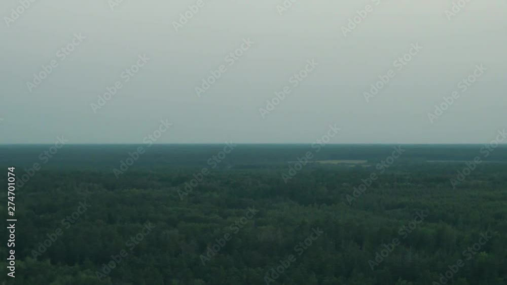 A view of the misty horizon through the forest A view of the misty horizon through the forest