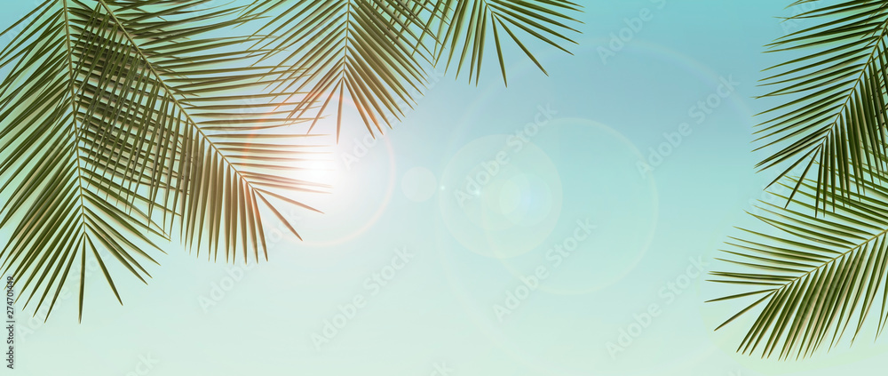 Palm branches