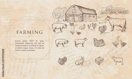 Fototapeta Naklejka Na Ścianę i Meble -  Farming. Cows, geese, chickens, pigs, turkey, farm house. Renaissance background. Medieval manuscript, engraving art