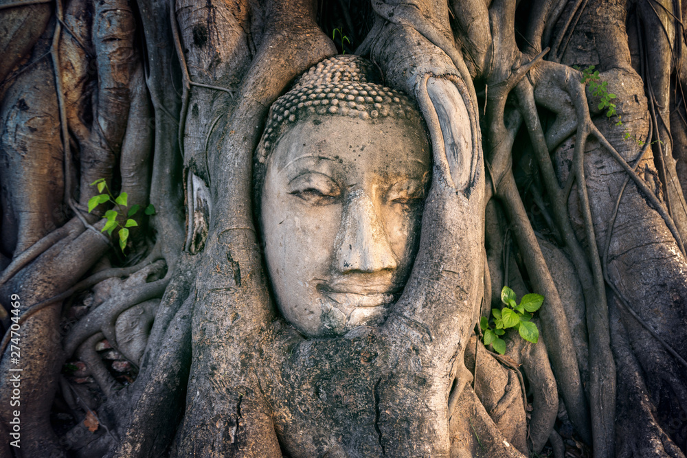 Buddha head in fig tree at Wat Mahathat, Ayutthaya historical park, Thailand. Buddha head in fig tree at Wat Mahathat, Ayutthaya historical park, Thailand.