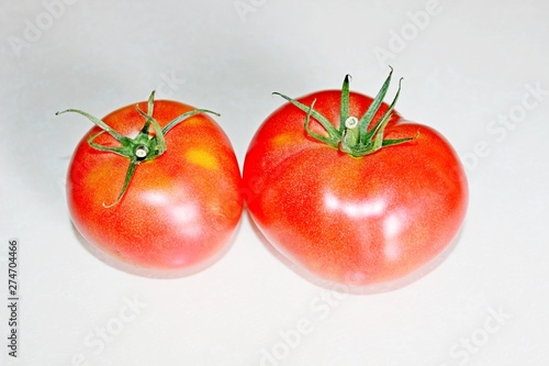tomato on a white background