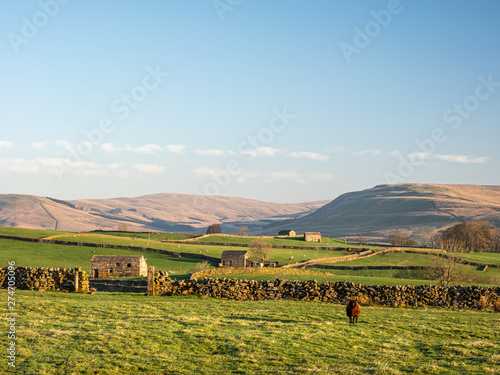 Yorkshire farmland photo