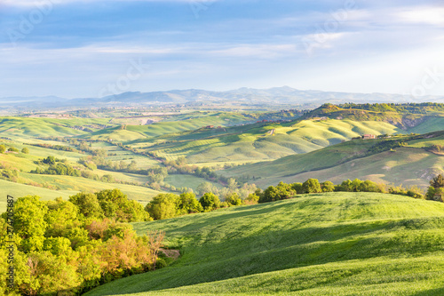 Rural rolling landscape view with fields and groves of trees in a valley in Italy