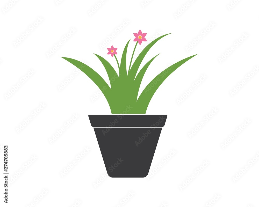 plant in pot illustration vector template