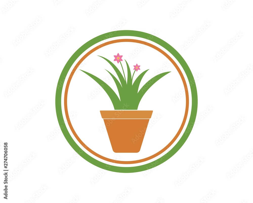 Fototapeta premium plant in pot illustration vector template